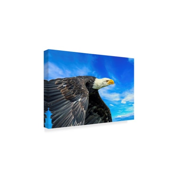 Ata Alishahi 'The Eagle Soaring' Canvas Art,30x47